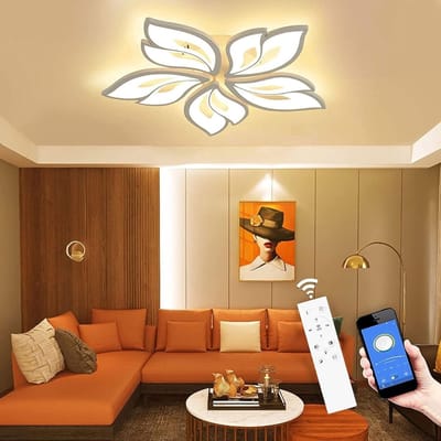 LED Plafondlamp Dimbaar, 40-80W met Afstandsbediening App, Kleurverandering Moderne Woonkamerlamp Plafondlamp, Energiebesparend Eimming Plafondverlichting Slaapkamerlamp [Energieklasse A]