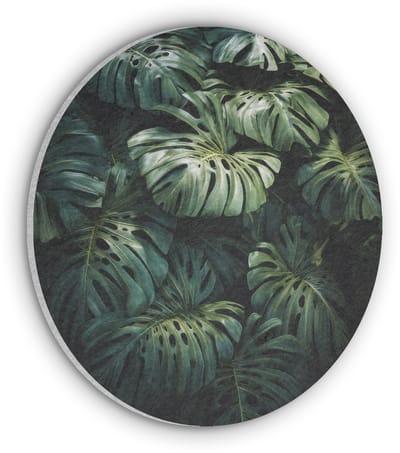 Akoestisch wandpaneel rond 50x50 cm - Vilt schilderij Plant - Monstera - Lichtinval - Ronde akoestische panelen - Geluidsdempende wanddecoratie - Geluidsisolatie wandcirkel - Muurdecoratie geluidspanelen