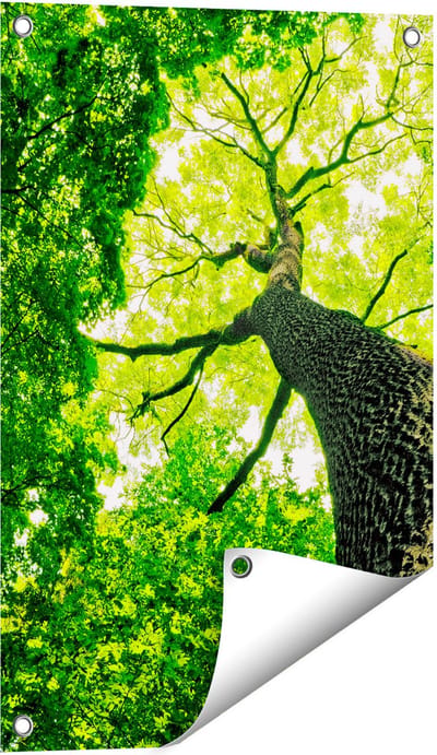 Gards Tuinposter Boom in het Bos met Fel Groene Bladeren - 40x60 cm - Tuindoek - Tuindecoratie - Wanddecoratie buiten - Tuinschilderij