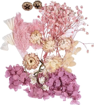 Gedroogde bloemen - Natuurlijke bloemen - Hars knutselen - 10 Kleuren assorti - 1 doos - Multicolor
