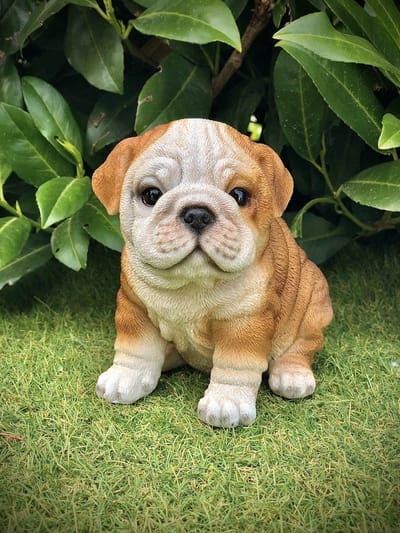 Puppy mix Engelse Buldog 15 cm hoog - polyester - polystone - beeld - tuinbeeld - hoogkwalitatieve kunststof - decoratiefiguur - interieur - accessoire - voor binnen - voor buiten - cadeau - geschenk - kerst - nieuwjaar - verjaardag