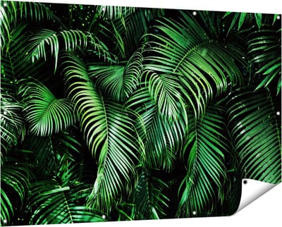 Gards Tuinposter Tropische Palm Bladeren - Groen - 150x100 cm - Tuindoek - Tuindecoratie - Wanddecoratie buiten - Tuinschilderij