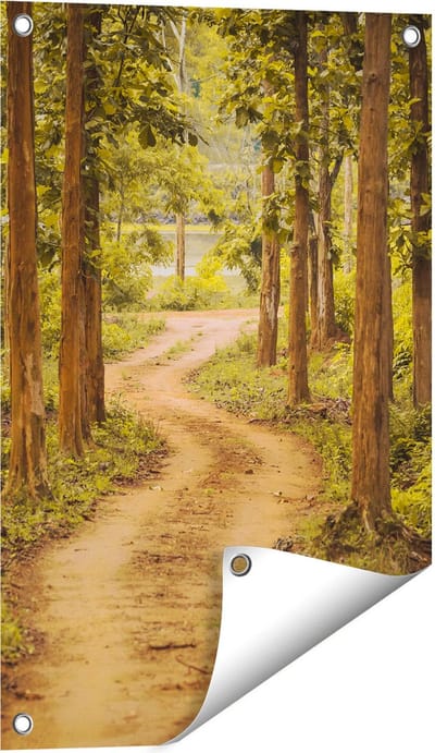 Gards Tuinposter Pad in het Bos met Bomen - 40x60 cm - Tuindoek - Tuindecoratie - Wanddecoratie buiten - Tuinschilderij