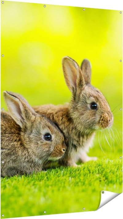 Gards Tuinposter Twee Konijnen op het Groene Gras - 120x180 cm - Tuindoek - Tuindecoratie - Wanddecoratie buiten - Tuinschilderij