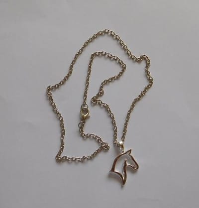 Ketting met hanger Paardenhoofd.