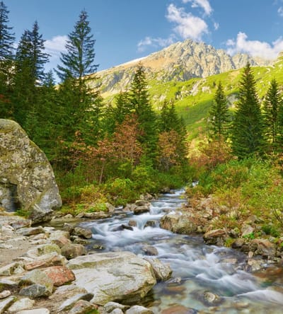 Fotobehang - Valley 225x250cm - Vliesbehang