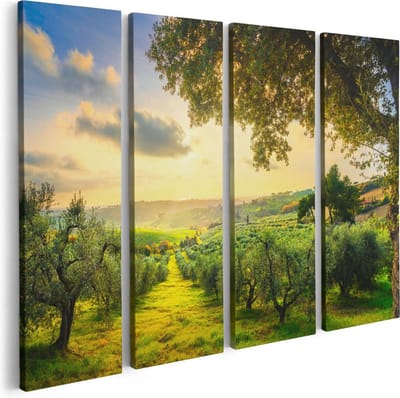 Artaza Canvas Schilderij Vierluik Olijvenbomen - Olijvengaard - 80x60 - Foto Op Canvas - Canvas Print