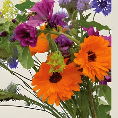 2 sets - Bloemen Voor Bijen Zaden Biologisch Eenjarig Bloemenmengsel Nectarplanten