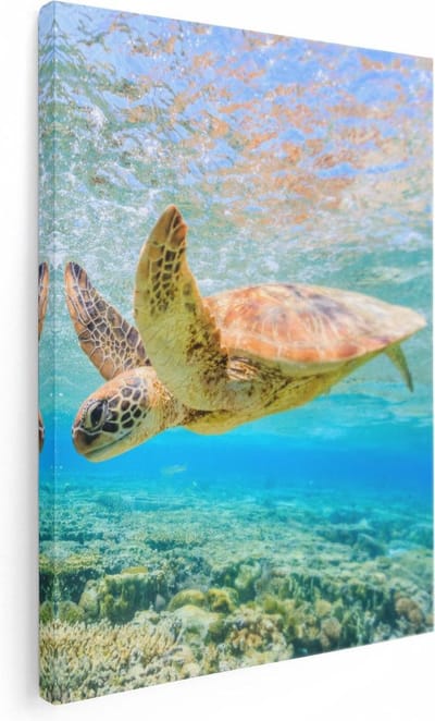 Artaza Canvas Schilderij Schildpad Onderwater - 30x40 cm - Klein - Muurdecoratie Zee - Wanddecoratie Woonkamer - Kamer Accessoires