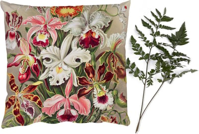 Sierkussens - Kussentjes Woonkamer - 40x40 cm - Bloemen - Ernst Haeckel - Vintage - Orchidee