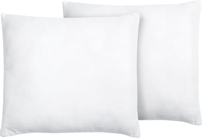 ERRIGAL - Kussen set van 2 - Wit - 80 x 80 cm - Microvezels