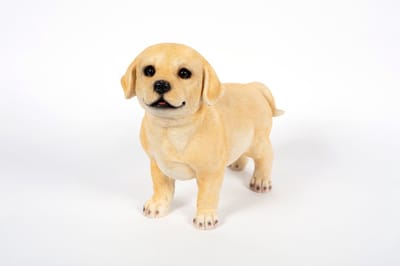 Labrador Staand - Hamac - Tuinbeeld