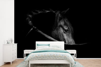 Behang - Fotobehang Paarden - Portret - Zwart - Dieren - Breedte 420 cm x hoogte 280 cm