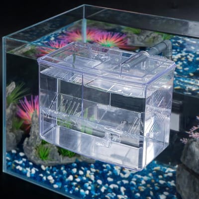 Aquarium Incubator voor Babyvissen en Garnalen - Kweekbox van Acryl voor Betta, Clownvis en Guppy's - Ideale Oplossing voor Aggressieve Vissen en Kweekomgeving