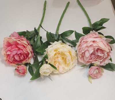 Pioenroos 60cm (1 stuk) assorti