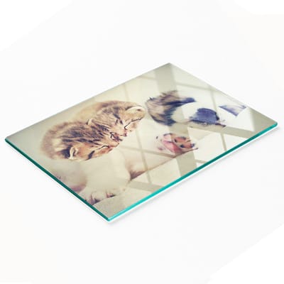 Decoratieve serveerplank van glas met katten- en hondenmotief, 80x52 cm