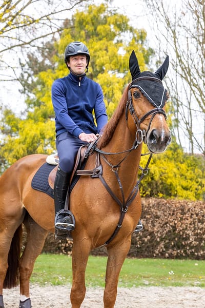 Horsegear Borsttuig Horsegear Hgvertou Bruin