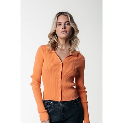 Colourful Rebel Nori Fine Knit Cropped Longsleeve Polo Tangerine Size: XS/S | Cardigans Outlet | Dames | Oranje