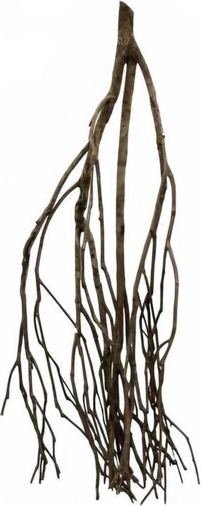 talawahout 30 cm bruin