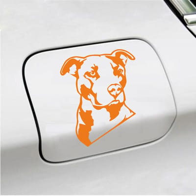 Bumpersticker - Pitbull  - 13 X 11 - Oranje