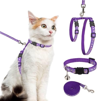 Verstelbaar Kattenharnas met Riem en Halsband - Ontsnapbestendig & Glow in the Dark - Perfect voor Buitenshuis Wandelen