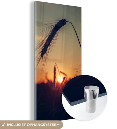 MuchoWow® Glasschilderij 20x40 cm - Schilderij acrylglas - Gras - Herfst - Zonsondergang - Seizoenen - Landschap - Foto op glas - Schilderijen
