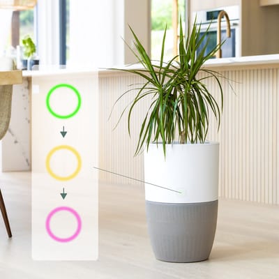 Stil, slim, stijlvol: Dupray Bloom luchtreiniger én plantenbak met medisch HEPA filter