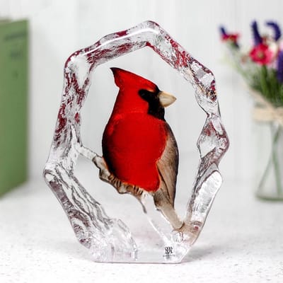Mats Jonasson Kardinaal Vogel - Helder, Rood - Voor Binnen - Staand