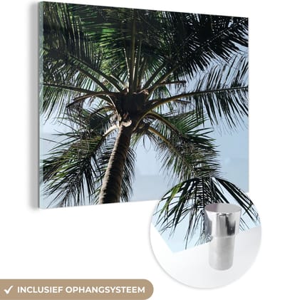 MuchoWow® Glasschilderij 160x120 cm - Schilderij acrylglas - Palmboom - Lucht - Tuinposter - Tuin - Decoratie tuin - Foto op glas - Schilderijen