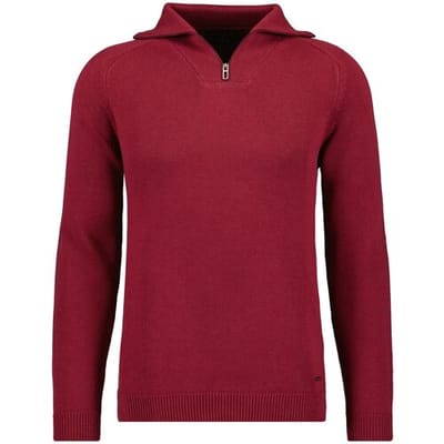 Ragman Trui Cotton Troyer Zip Raglan Sleeve Raspberry / male