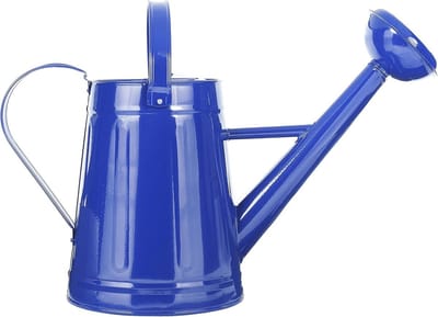 Metalen Outdoor Gieter - Gegalvaniseerd Staal - Planten Verzorgen - Lekvrije Sproeikop - 1.2 Gallon - Blauw