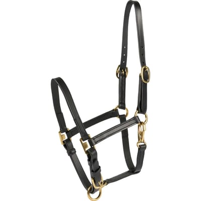 Halsband voor paard HorseGuard