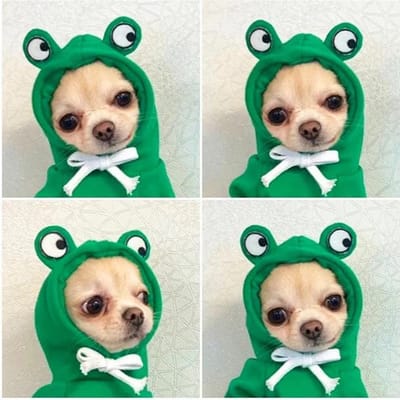 Kerst Huisdier Hond Kostuum Winter Hoodie voor Kleine Middelgrote Puppy Jas Kat Jas Kleding Chihuahuas Franse Bulldog XS beige