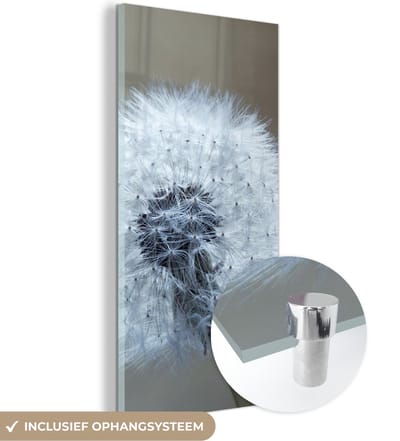 MuchoWow® Glasschilderij 20x40 cm - Schilderij acrylglas - Paardenbloem - Bloem - Plant - Foto op glas - Schilderijen