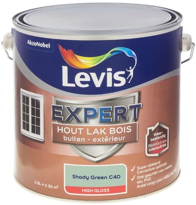 Levis - Expert Hout Lak Buiten High Gloss Mix - Shady Green C40 - Mengverf - 2,5 L