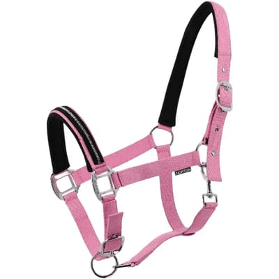 Halster voor paarden Norton Crystal