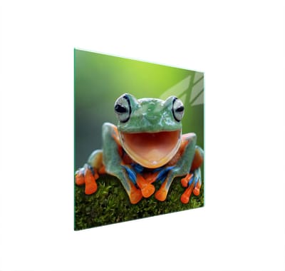 TMK ArtDeko - Snijplank - Glas - 50x52cm - Beschermplaat voor Fornuis