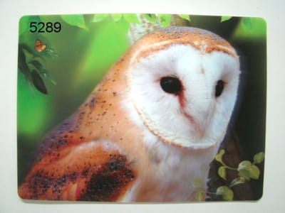 3D Placemat - Kerkuil - 29,5 x 39,5 cm - Diepte Effect - Tafelmat