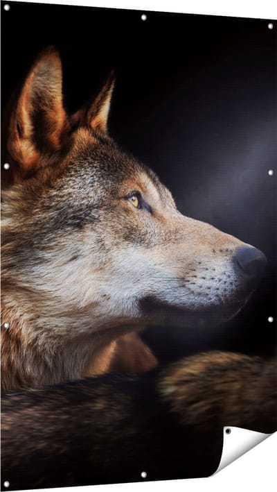 Gards Tuinposter Wolvenkop met een Zonnestraal - Wolf - 100x150 cm - Tuindoek - Tuindecoratie - Wanddecoratie buiten - Tuinschilderij