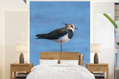Behang - Fotobehang Vogel - Dieren - Paal - Blauw - Kievit - Breedte 205 cm x hoogte 280 cm
