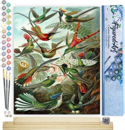 Figured'Art Schilderen op Nummer Volwassenen canvas Alle vogels - Handwerk acrylverf Kit DIY Compleet - 40x50cm met DIY houten lijst