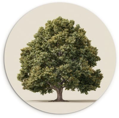 WallCircle® Wandcirkel 120x120 cm - Muurcirkel Eikenboom - Groen - Lichte achtergrond - Muurdecoratie woonkamer - Wanddecoratie slaapkamer - Kamer decoratie accessoires - Ronde schilderijen XXL