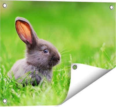Gards Tuinposter Konijn in het Gras - 50x40 cm - Tuindoek - Tuindecoratie - Wanddecoratie buiten - Tuinschilderij
