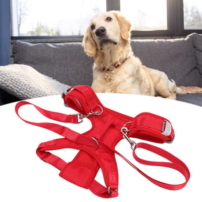 Harnais de levage pour chien   Aide de récupération sûre   Élingue de soutien pour pattes avant de chiot pour animal de compagnie âgé, handicapé, blessé