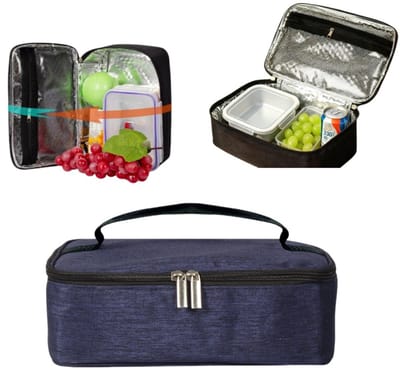 Unisex kleine koeltas — Koelbox voor etenswaren — Thermische voedseltas — Ruime lunchtas — Houdt warm en koud — Opvouwbare minikoeler — Compact en draagbaar — Ideaal voor kantoor, picknicks en meer — 25 x 16 x 8 cm