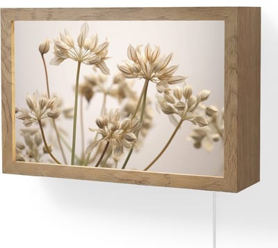 Wandlamp 30x20 cm - Oplaadbaar - Droogbloemen - Beige - Wit - Planten - Wandlampen binnen woonkamer - Slaapkamer lamp met kabel - Decoratieve nachtlamp - Vloerlamp snoer