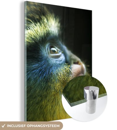 MuchoWow® Glasschilderij 120x160 cm - Schilderij acrylglas - Aap - Vacht - Zwart - Foto op glas - Schilderijen
