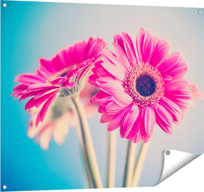 Gards Tuinposter Twee Roze Anjers - Bloemen - 100x80 cm - Tuindoek - Tuindecoratie - Wanddecoratie buiten - Tuinschilderij