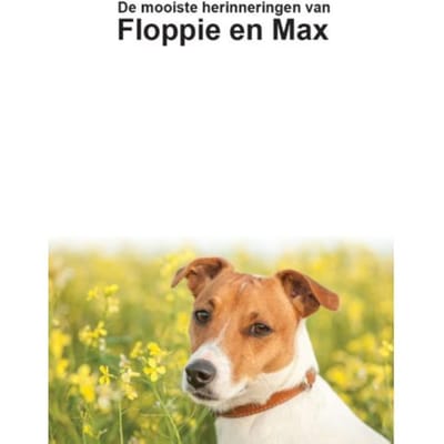 De Mooiste Herineringen Van Floppie En Max - Ans van Kuijck Linders