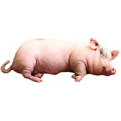 Levensechte Simulatie Varken Pluche Speelgoed Schattig Zacht Varkentje Kussen Gevuld Dier Kussen Huis Bank Decoratie Vakantiecadeau Voor Kinderen Vrienden beige